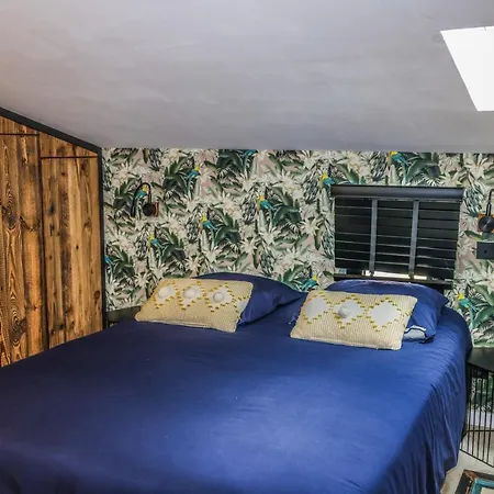 Casa Jungle ! Superb Duplex Apartment, Place Des Lices ! * Saint-Tropez